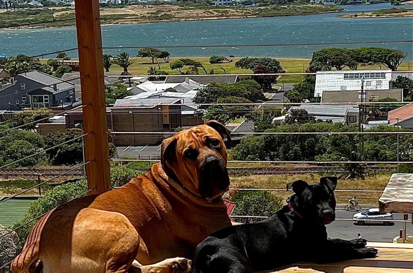 Jefa Heights Apartment Cape Town